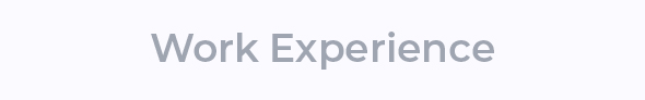 Work Experience